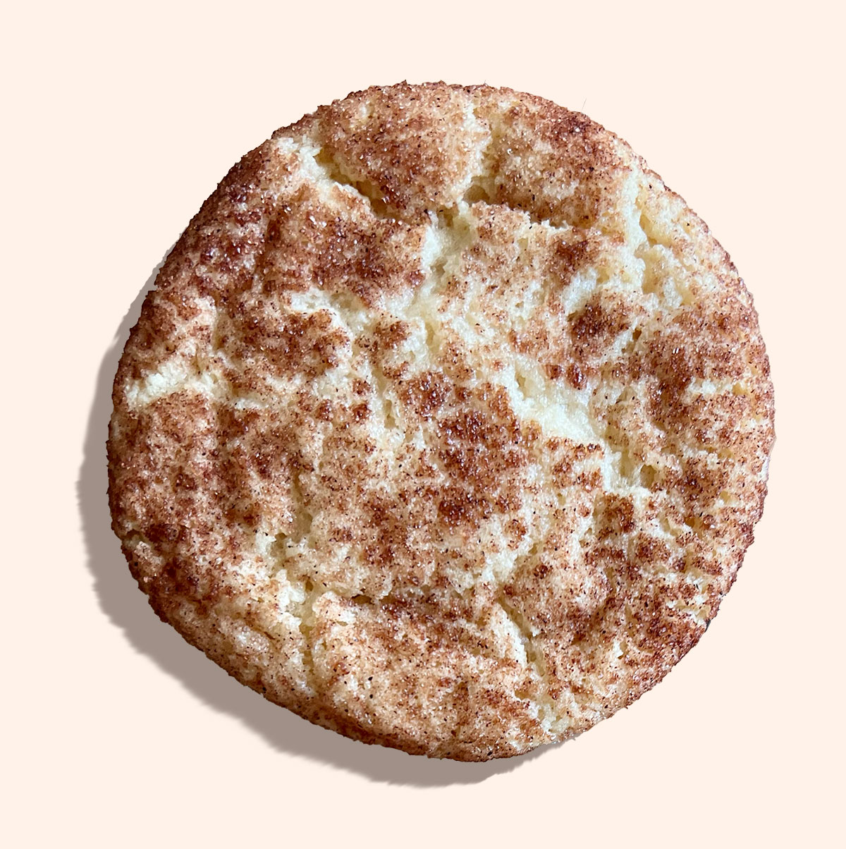 Photograph of the snickerdoodle cookie