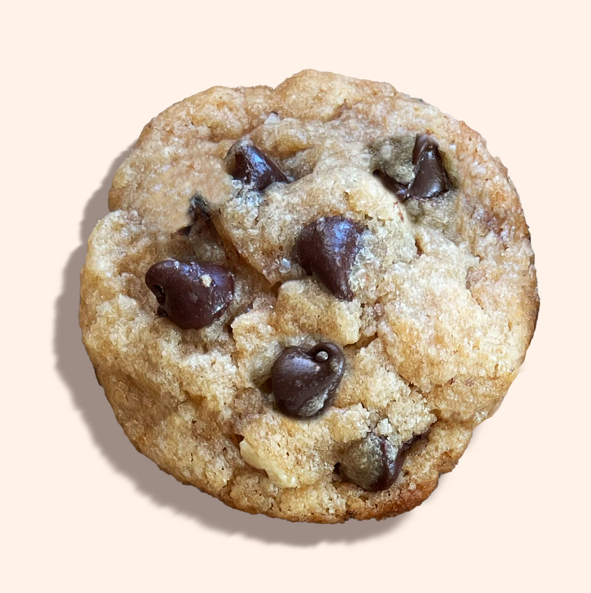 Photograph of 'The Classic' cookie